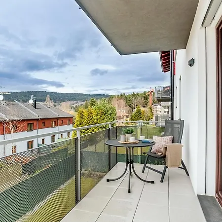 Korzo Lipno 아파트 *